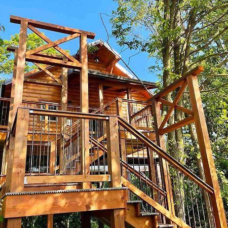 Cricket Hill Treehouse By Amish Country Lodging Millersburg Kültér fotó