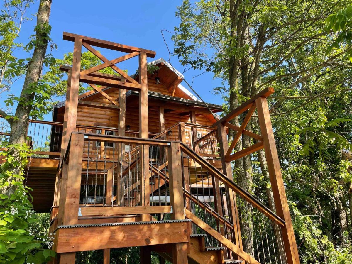 Cricket Hill Treehouse By Amish Country Lodging Millersburg Kültér fotó